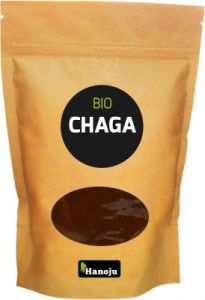 GRZYBY SPROSZKOWANE CHAGA BIO 100 g - HANOJU